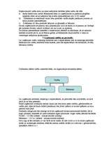 Biznesa plāns 'Biznesa plāns kafejnīcai', 4.