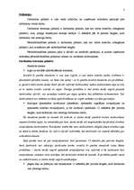 Referāts 'Starptautisko grāmatvedības standartu ieviešanas problēmas un to risinājumi', 3.