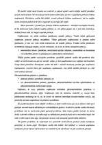 Referāts 'Starptautisko grāmatvedības standartu ieviešanas problēmas un to risinājumi', 4.