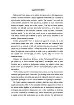 Referāts 'Voltēra romāna "Zadigs" analīze', 5.