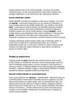 Konspekts 'Seno grieķu vēsture, kultūra, mitoloģija, sabiedrība un kultūras mantojums', 17.