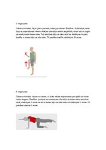 Konspekts 'Vingrojumu komplekss pamatskolai', 3.