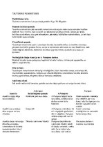 Konspekts 'Tautiskais romantisms', 1.