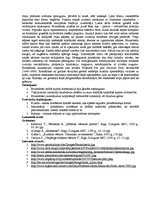 Konspekts 'Filipo Brunelleski', 2.