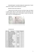 Referāts 'Absolventu banketa organizēšana', 5.