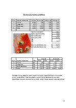 Referāts 'Absolventu banketa organizēšana', 11.