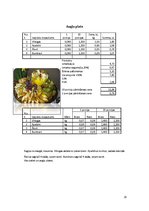 Referāts 'Absolventu banketa organizēšana', 20.