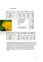 Referāts 'Absolventu banketa organizēšana', 25.
