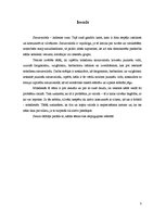 Referāts 'Mūsdienu latviešu sarunvaloda jauniešu vidū', 3.