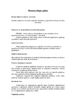 Biznesa plāns 'Biznesa idejas plāns', 1.