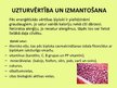 Prezentācija 'Ķiploku audzēšana', 3.