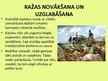 Prezentācija 'Ķiploku audzēšana', 16.