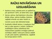 Prezentācija 'Ķiploku audzēšana', 17.