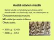 Prezentācija 'Ķiploku audzēšana', 20.