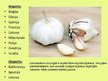 Prezentācija 'Ķiploku audzēšana', 21.