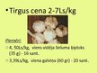 Prezentācija 'Ķiploku audzēšana', 25.