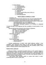 Referāts 'Darba aizsardzība, darba drošība, ergonomika, ugunsdrošība', 14.