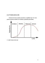 Biznesa plāns 'SIA "Avalance" biznesa attīstības plāns', 11.