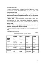 Biznesa plāns 'SIA "Avalance" biznesa attīstības plāns', 12.