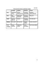 Biznesa plāns 'SIA "Avalance" biznesa attīstības plāns', 13.