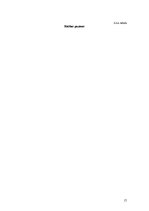 Biznesa plāns 'SIA "Avalance" biznesa attīstības plāns', 17.