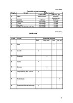 Biznesa plāns 'SIA "Avalance" biznesa attīstības plāns', 19.