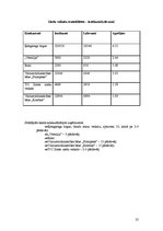 Biznesa plāns 'SIA "Avalance" biznesa attīstības plāns', 25.