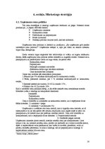 Biznesa plāns 'SIA "Avalance" biznesa attīstības plāns', 28.