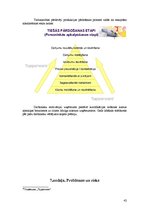 Biznesa plāns 'SIA "Avalance" biznesa attīstības plāns', 42.