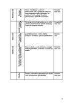 Biznesa plāns 'SIA "Avalance" biznesa attīstības plāns', 44.