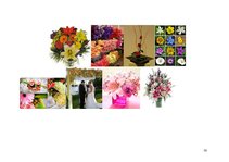 Biznesa plāns 'SIA "Avalance" biznesa attīstības plāns', 50.