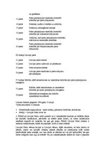 Referāts 'Organizācijas pētījums', 4.