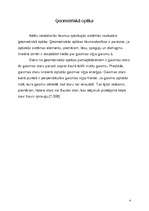 Referāts 'Optika', 4.