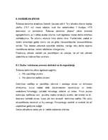 Biznesa plāns 'Šūšanas darbnīcas izveide', 1.