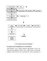Biznesa plāns 'Šūšanas darbnīcas izveide', 2.