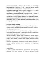 Biznesa plāns 'Šūšanas darbnīcas izveide', 16.