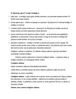 Referāts 'Stratēģiskā plānošana un Portera piecu spēku likums', 6.