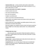 Referāts 'Stratēģiskā plānošana un Portera piecu spēku likums', 8.