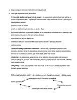 Referāts 'Stratēģiskā plānošana un Portera piecu spēku likums', 11.