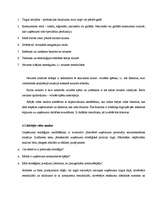 Referāts 'Stratēģiskā plānošana un Portera piecu spēku likums', 13.