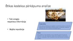 Prezentācija 'Ētikas kodeksa pārkāpuma analīze', 6.
