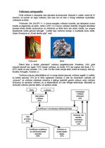 Konspekts 'Volframa fizikālās, ķīmiskās īpašības un ķīmiskie savienojumi', 2.