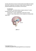 Referāts 'Emocijas un psihosomatika', 5.