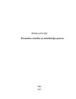 Referāts 'Personības attīstība un socializācijas process', 1.