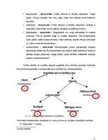 Referāts 'Personības attīstība un socializācijas process', 12.
