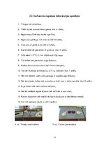 Paraugs 'Vīna fermentēšana', 13.