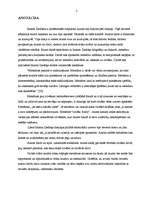 Referāts 'Metaforas Imanta Ziedoņa dzejā un to salīdzināšana angļu un latviešu valodā', 2.