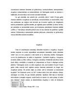 Referāts 'Amerikas identitātes izaicinājumi šodien', 2.