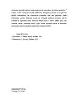 Referāts 'Amerikas identitātes izaicinājumi šodien', 8.