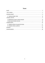 Referāts 'Reklāma', 2.